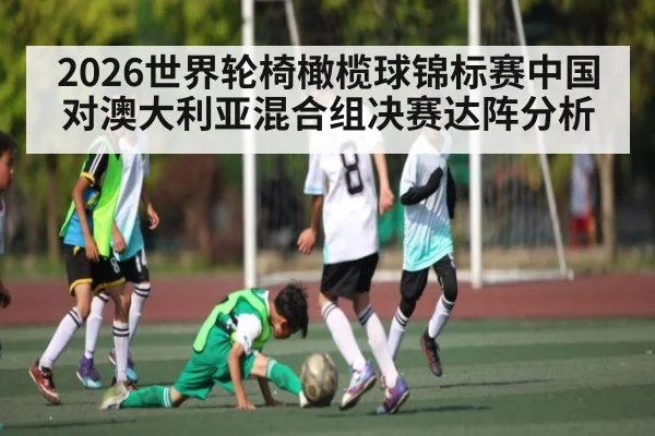 2026世界轮椅橄榄球锦标赛中国对澳大利亚混合组决赛达阵分析