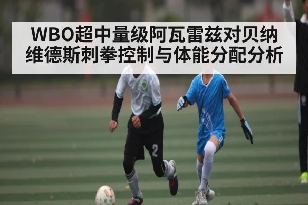 WBO超中量级阿瓦雷兹对贝纳维德斯刺拳控制与体能分配分析 | kaiyun